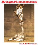Auguri mamma