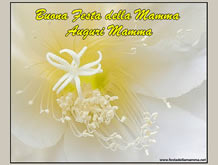 Auguri per festa mamma